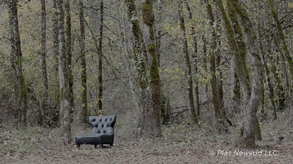 Photo of a plush leather chair sitting alone in the autumn woods